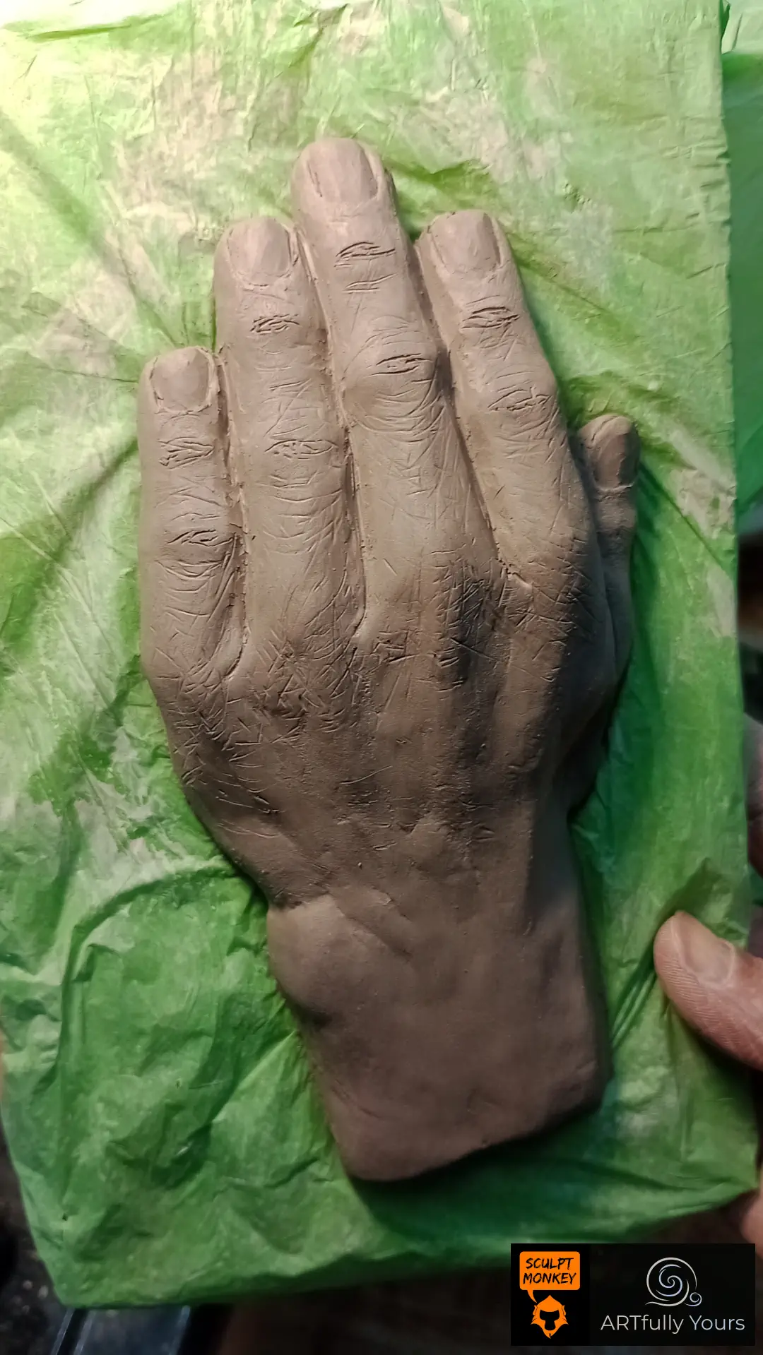 Back Hand exercise Barney 01 - Hand Sculpture Class