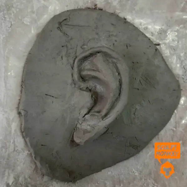 Ear Sculpt exercise 2024